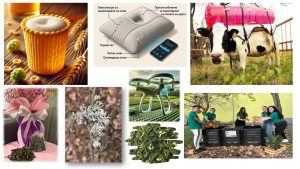 Регионалната свързаност и Вертикалният газов коридор са ключът към енергийната сигурност на Европа