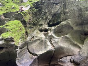 На пролетното заседание на ПКБФ общините обсъдиха удължения бюджет, ЗМДТ и предизвикателствата пред местните финанси през 2026 г.