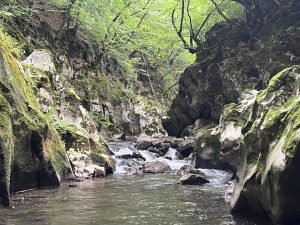 Министър Адемов: Разчитаме на експертизата на Икономическия и социален съвет