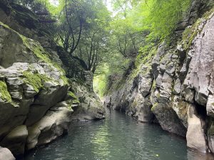 Китай разширява „зелената стена“ в битка срещу опустиняването