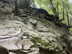 Зам. изпълнителният директор на НСОРБ Теодора Дачева пред БНР: Системата на финансиране в образованието задълбочава неравенствата и има нужда от реформи