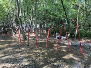 Зам.-министър Ефремова: Трансграничната трудова мобилност създава възможности, но и предизвикателства