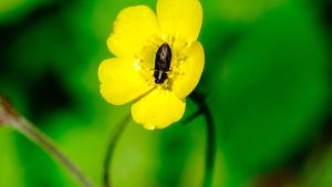 Пенчо Милков, кмет на Русе: Във всички населени места в България догодина трябва да се усети, че 150-ата годишнина от Априлското въстание е национално честване