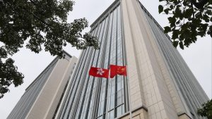 Изпълнителна агенция по горите | Новини