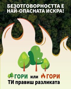 Изпълнителна агенция по горите | Новини