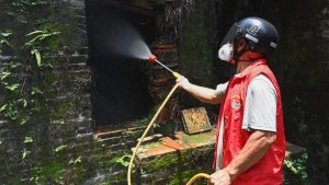 Новите правила имат за цел здравословен растеж на платформите