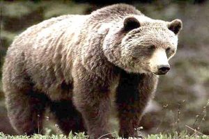 Китай е уверен в постигането на целта за растеж през 2026 г