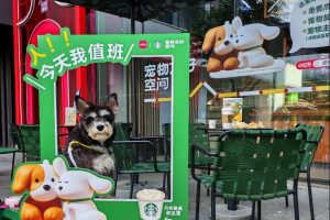 Tencent Music публикува по-висока печалба за 2025 г., тъй като приходите от онлайн музика се увеличават · TechNode