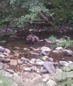 МТСП участва в церемонията за връчване на приза „Студент на годината“