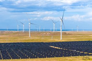 НСОРБ е партньор в XV издание на „Походът на книгите“