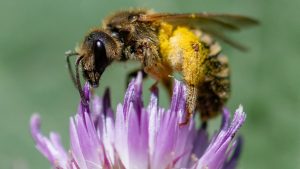 Всички поднадзорни лица на Комисията за финансов надзор стават част от системата за сигурно електронно връчване