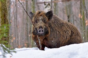 Устойчивостта се превърна във водещ критерий в енергийната политика