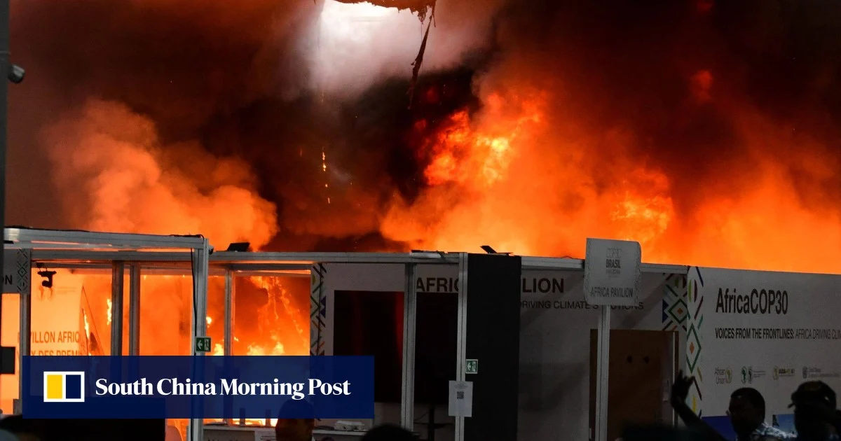 Културната одисея на Global Gen Z на фестивала на божурите в Луоянг