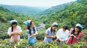 Китайският контрол над въоръженията и разоръжаването в новата ера