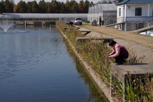 Шанхайски университет представя нова устойчива система за пречистване