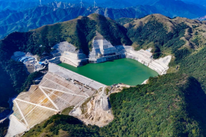 Изпълнителна агенция по горите | Новини