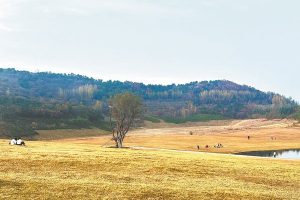 Apple намалява комисионните на App Store в континентален Китай · TechNode