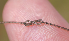 Казахстан е изменил визовите процедури  за инвеститори и бизнесмени