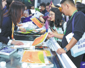 Министър Адемов: Правителството ще подпомогне до 1 380 000 уязвими при скок на цените на горивата