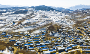 Въведена е застраховка за дългосрочни грижи