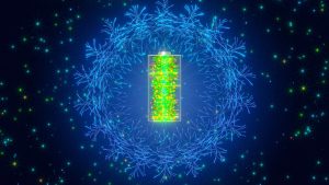 Незаконна сеч и сериозни нарушения при проверки в Северозапада