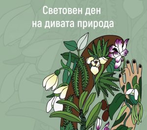 Днес е Световният ден на дивата природа