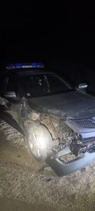 Изпълнителна агенция по горите | Новини